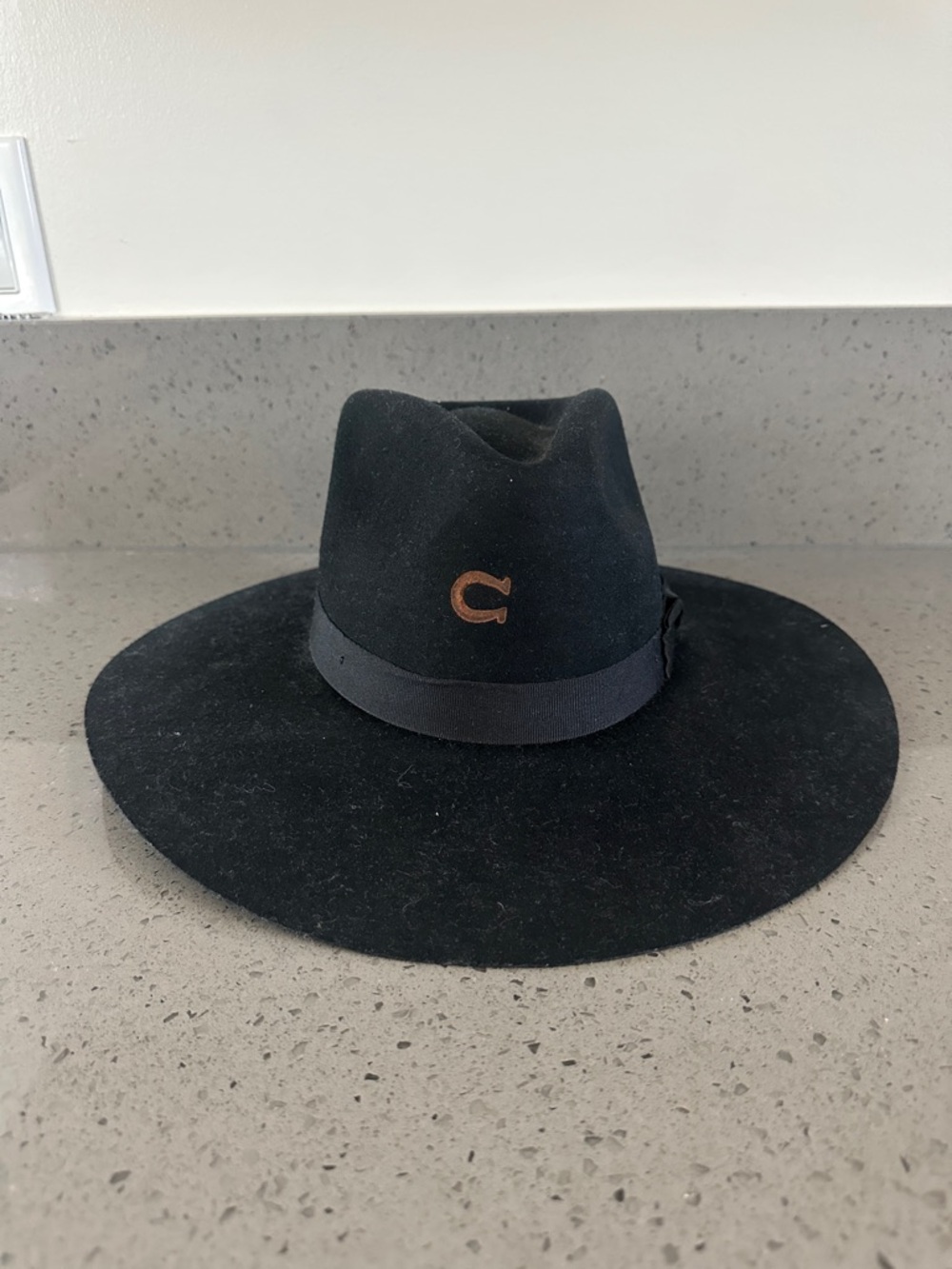 Black Wide-Brim Fedora Hat with Brown Accent